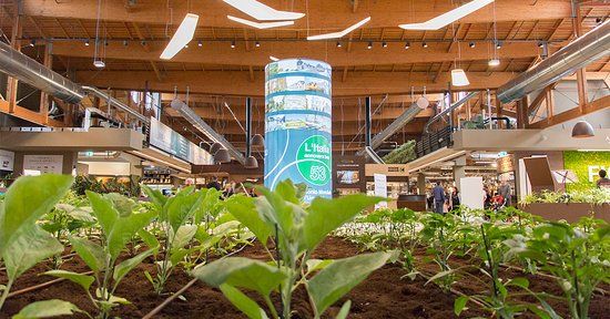 FICO Eataly World